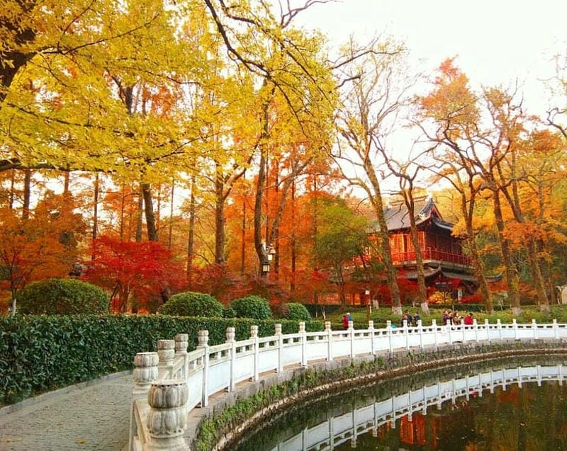 Mùa thu Trung Quốc ngập tràn sắc lá đỏ