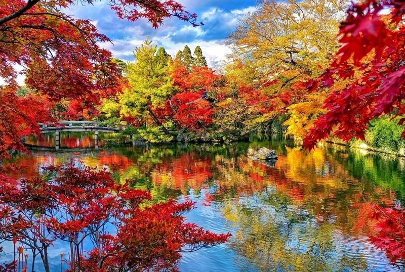 Bình minh lá đỏ ở Bắc Kinh đẹp đến nao lòng