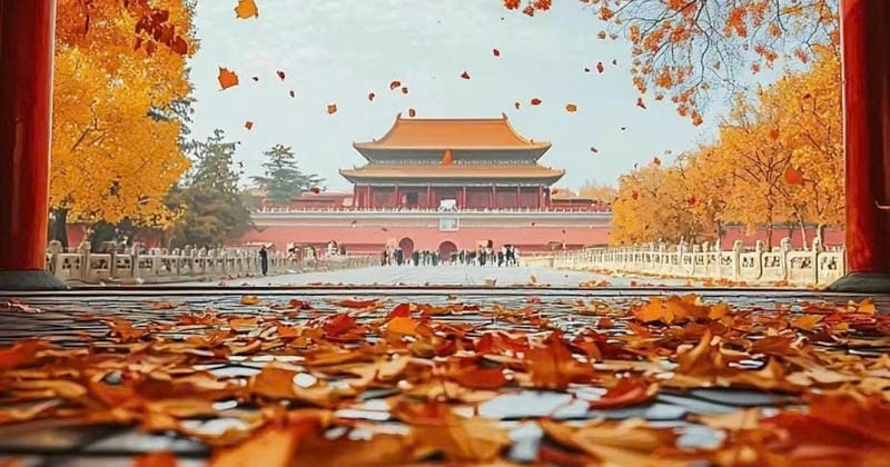 Bắc Kinh thơ mộng với sắc lá đỏ rực rỡ