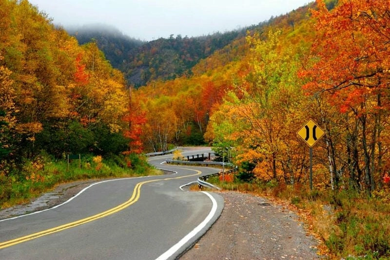 Công viên Algonquin mùa lá đỏ tuyệt đẹp đầy chất thơ.