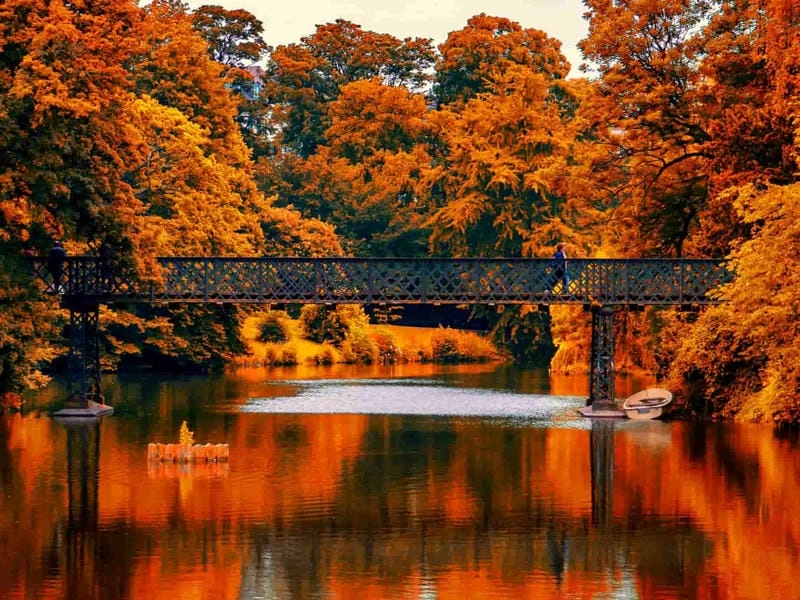 Công viên Tivoli lá đỏ ở Copenhagen