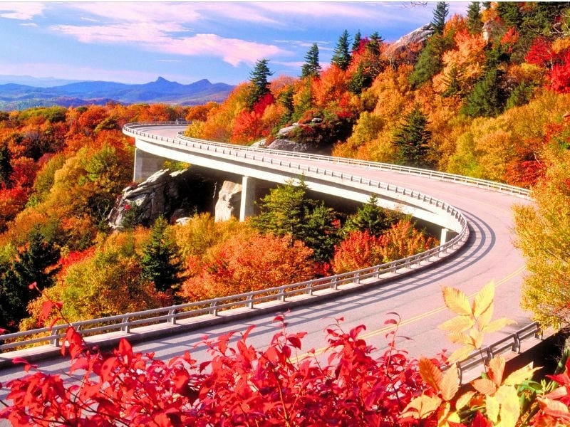 Điểm ngắm mùa thu lá đỏ Edinburgh lí tưởng