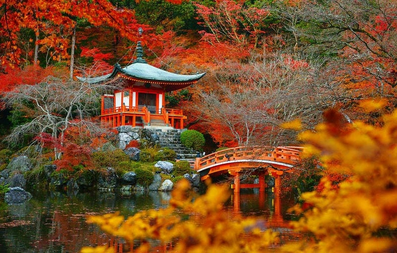 Vẻ đẹp lãng mạn của mùa thu lá đỏ Kyoto Nhật Bản làm say lòng người