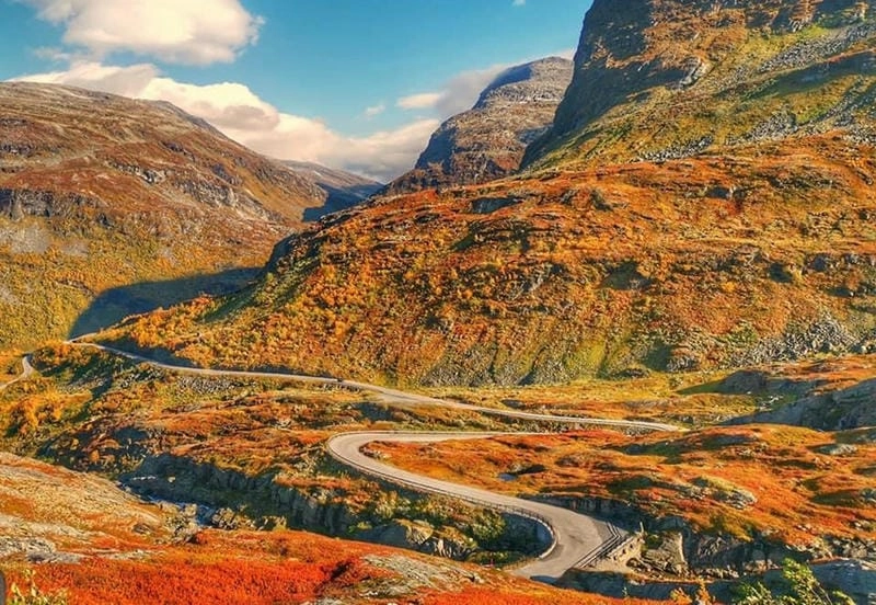 Sương mù lá đỏ buổi sớm mai huyền ảo