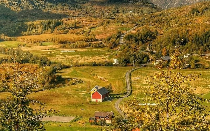 Đường mòn lá đỏ trải dài lãng mạn