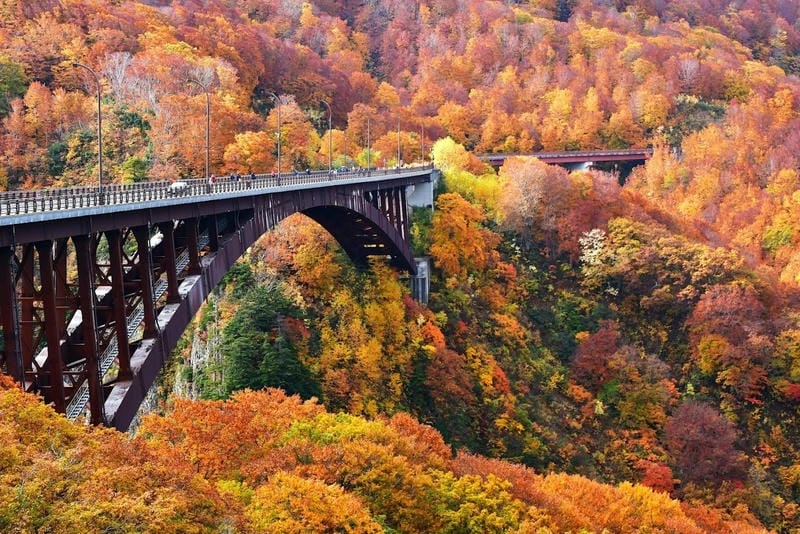 Những địa điểm ngắm mùa thu lá đỏ Quebec lý tưởng cho chuyến đi của bạn