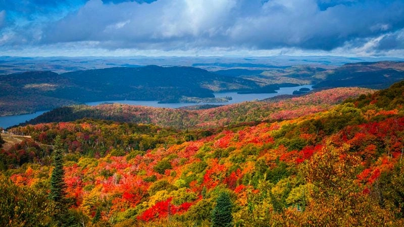 Bình minh lá đỏ ở Quebec đẹp đến nao lòng