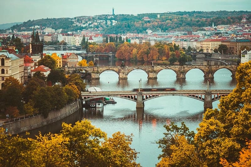 Ảnh lá vàng Budapest đẹp rực rỡ