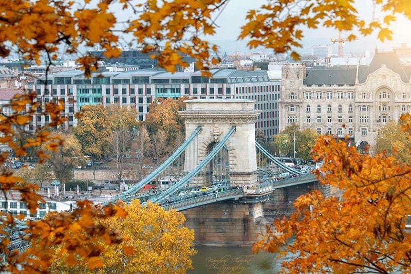 Hoàng hôn Budapest lãng mạn bên lá vàng