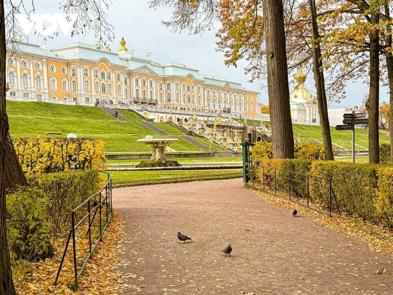 Công viên Gorky lá vàng đẹp ngỡ ngàng