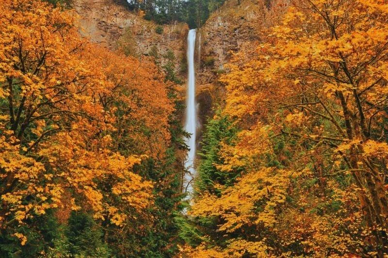 Trải nghiệm đáng nhớ cùng mùa thu lá vàng New England là một kỷ niệm không thể quên