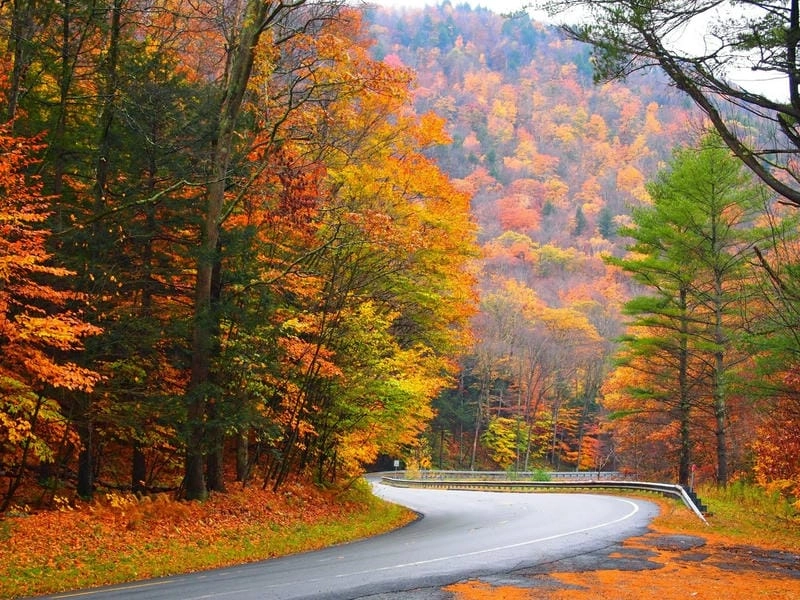 Vermont lá vàng đẹp ngỡ ngàng