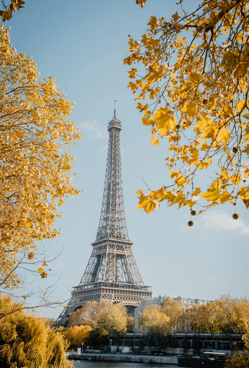 Vẻ đẹp lãng mạn của mùa thu lá vàng Paris khiến lòng người xao xuyến