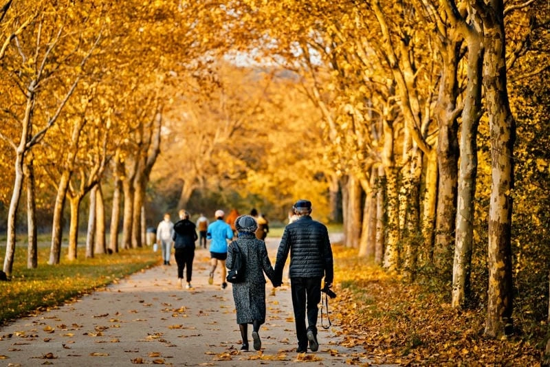 Những địa điểm ngắm mùa thu lá vàng Paris lý tưởng cho chuyến đi của bạn