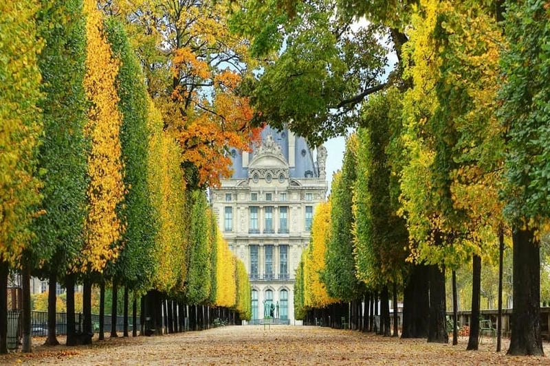 Hoàng hôn Paris lãng mạn bên những hàng cây lá vàng