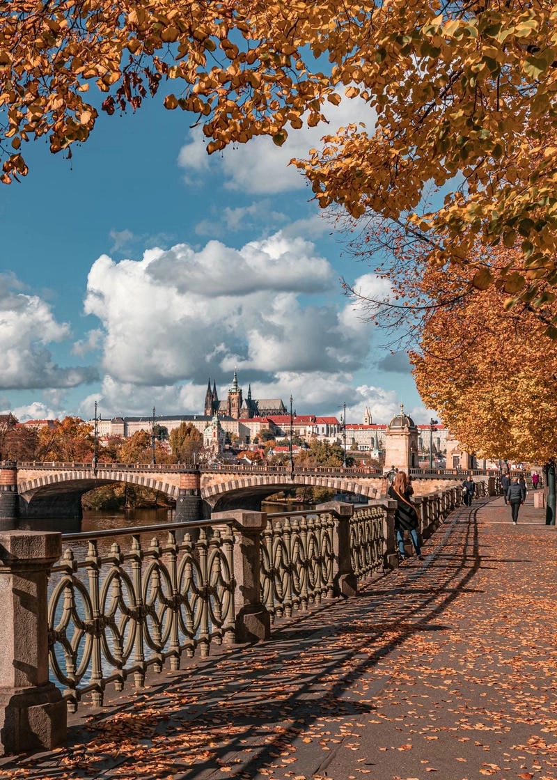 Ảnh lá vàng Prague đẹp rực rỡ và lãng mạn