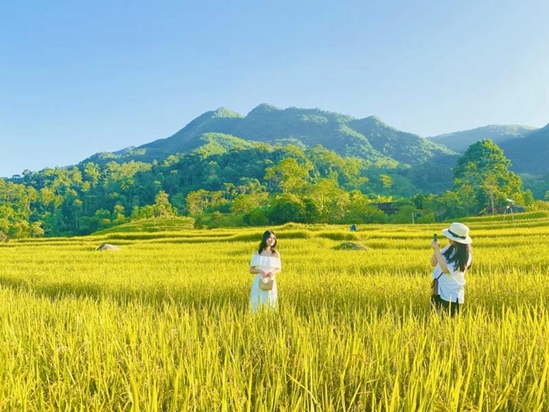 Thắm sắc trời thu là lúa vàng Bắc Kạn