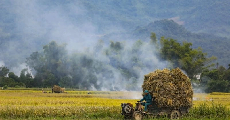 Trải nghiệm mùa thu lúa chín Bắc Ninh đầy cảm xúc