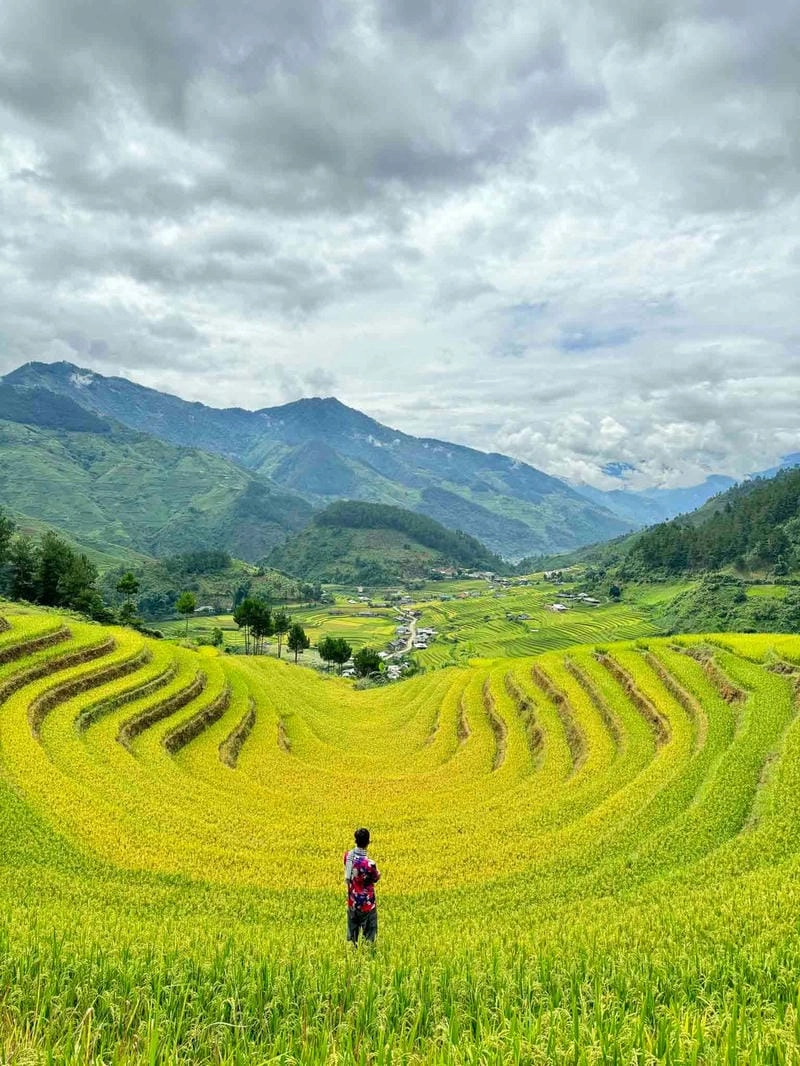 Mùa thu Lào Cai thơ mộng nhuộm vàng cả vùng trời