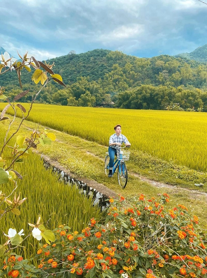 Khám phá các địa điểm săn lúa chín đẹp nhất Mai Châu