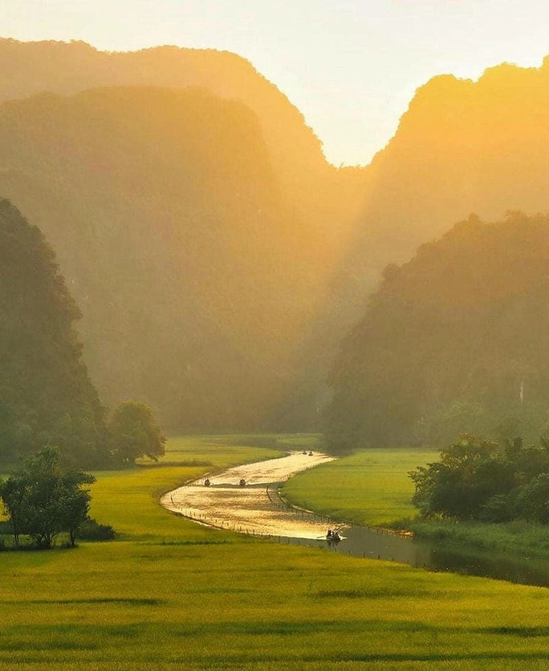 Rực sáng chân trời bình minh lúa chín