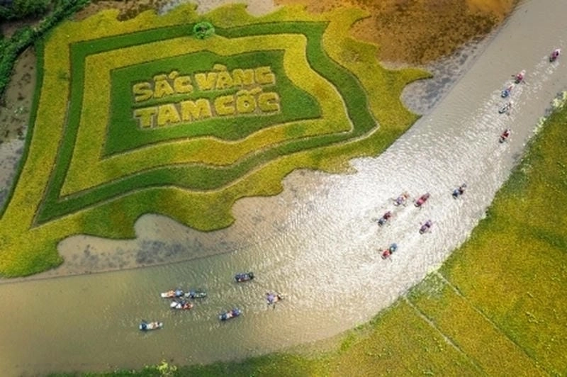 Mênh mang sóng gợn thuyền chèo lúa chín