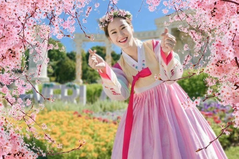 Những địa điểm ngắm hoa anh đào đẹp nhất ở Hàn Quốc làm say lòng người.