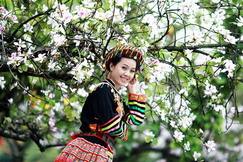 Say đắm ánh nhìn ảnh hoa ban Lào Cai