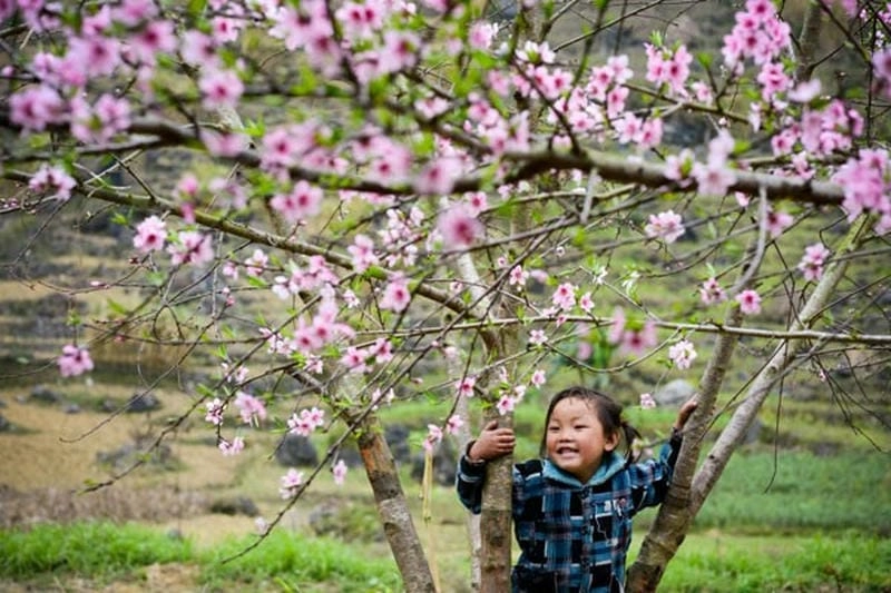 Lãng đãng thơ mộng mùa xuân Lào Cai