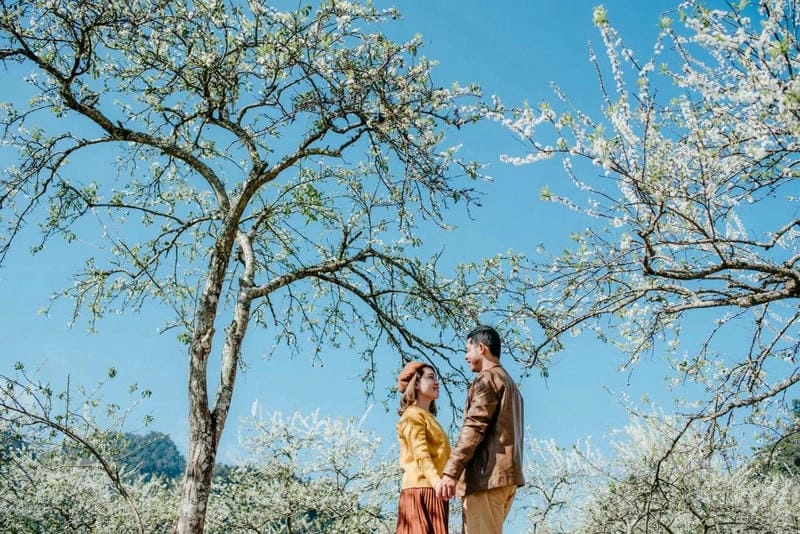 Sắc tím hoa ban nở rộ quyến rũ mọi ánh nhìn