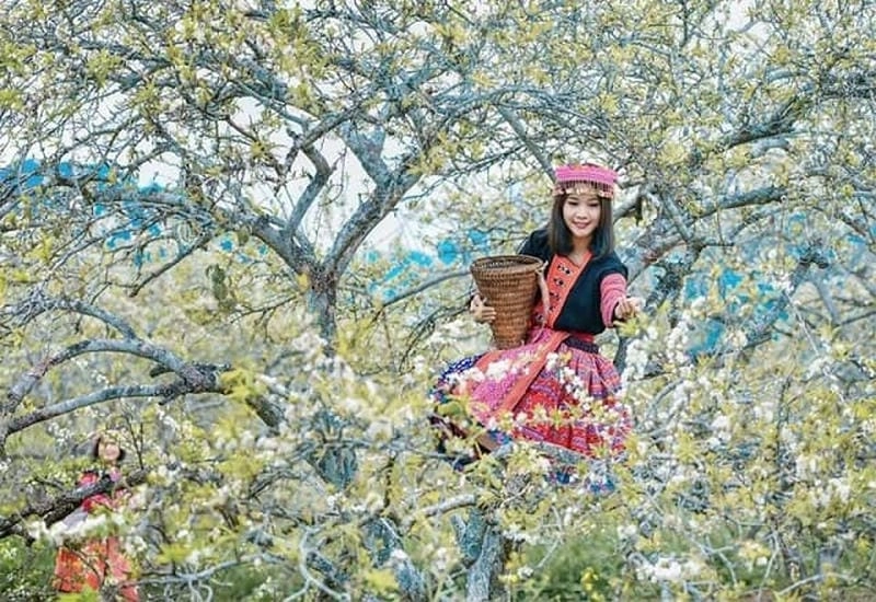 Dừng chân giữa Sapa thơ mộng lòng nhẹ tênh