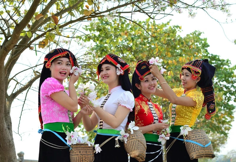 Hoa ban nở rộ Tuyên Quang đẹp đến nao lòng