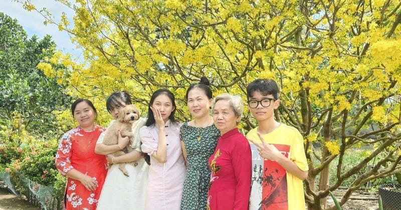 Khám phá điểm đến hoa mai Kiên Giang mùa xuân tuyệt đẹp