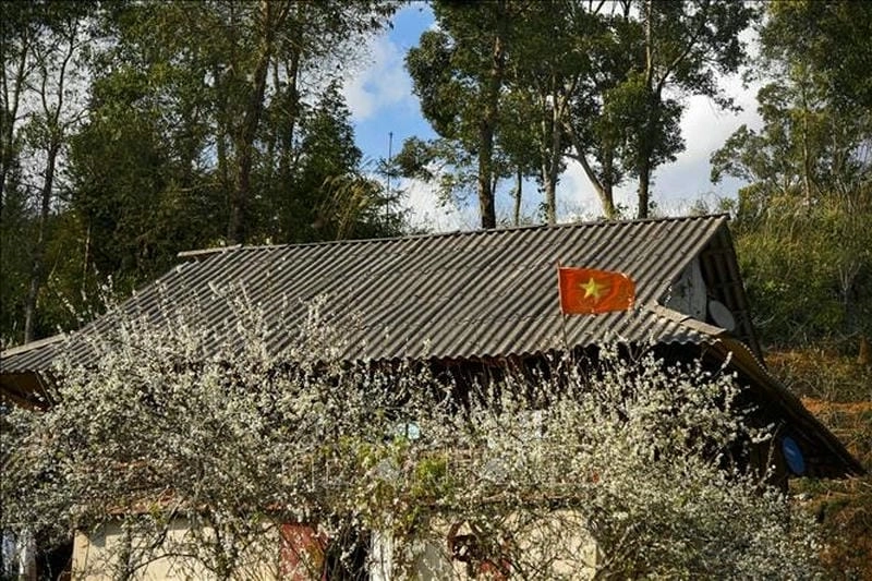 Khám phá địa điểm ngắm hoa mận đẹp nhất Điện Biên