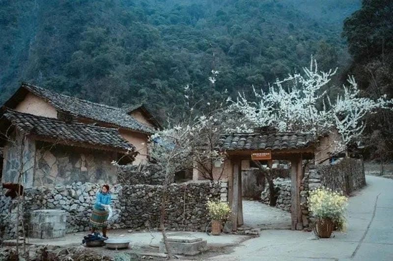 Lên Hà Giang vào thời gian lý tưởng để ngắm trọn sắc xuân