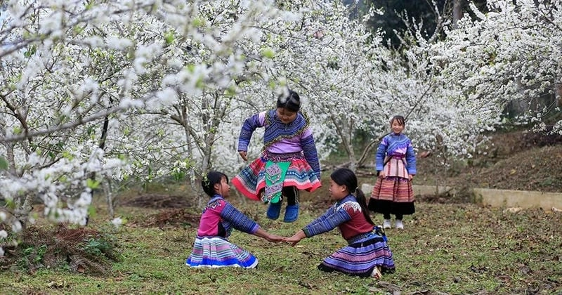 Vẻ đẹp đặc trưng của Lào Cai vào mùa hoa mận ngọt ngào