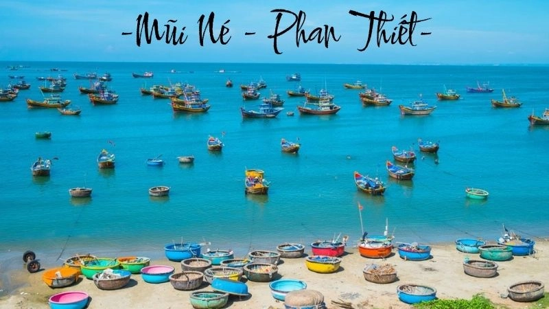 Thiên nhiên Mũi Né kết hợp hài hòa giữa biển, cát và những rặng dừa