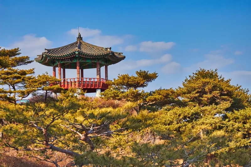 Muju rực rỡ với sắc lá đỏ mùa thu lãng mạn