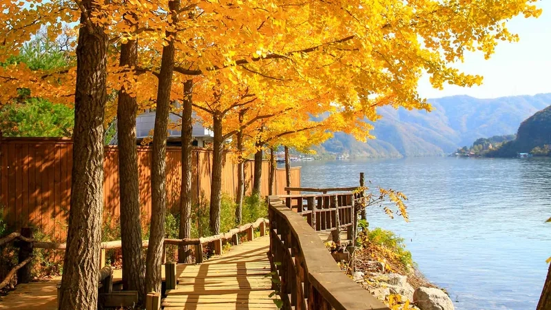 Nami Island là điểm đến lý tưởng vào mùa thu