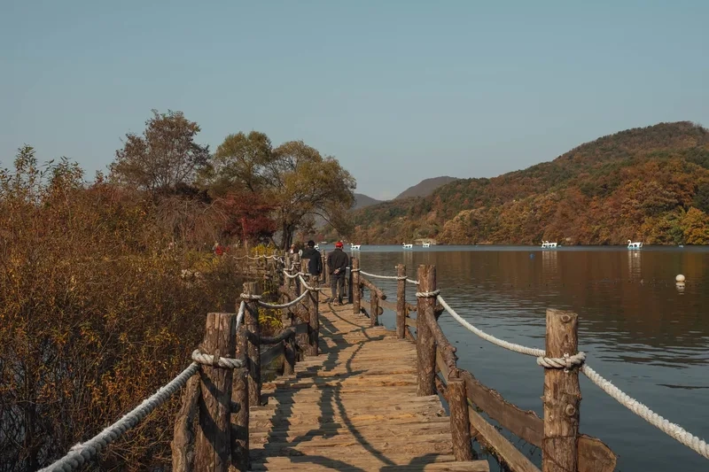 Dạo bước giữa rừng phong tuyệt đẹp ở Nami Island