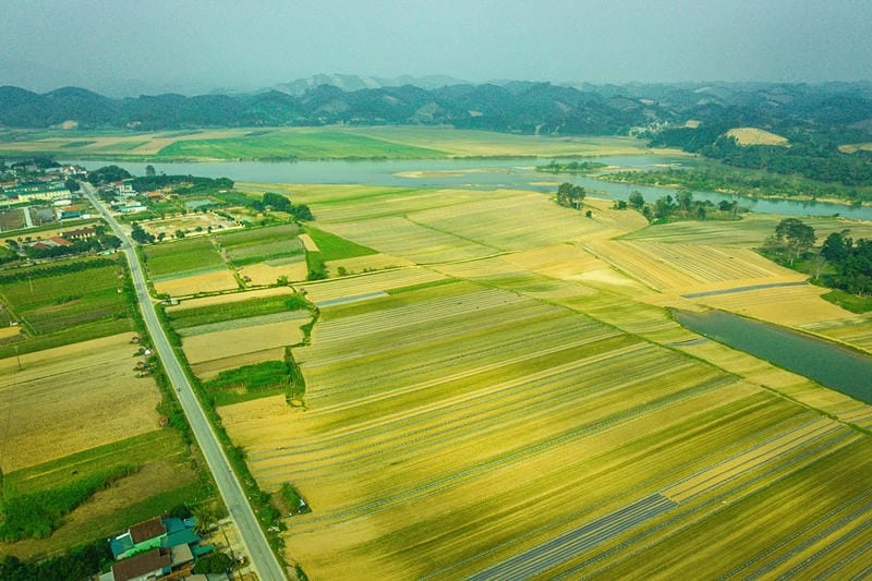 Sông Lam uốn lượn, cảnh quan Nghệ An thơ mộng lúc hoàng chiều