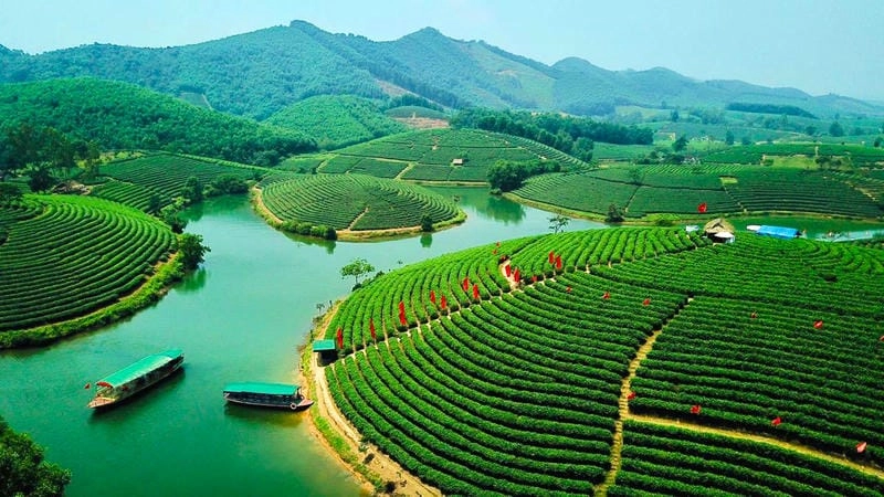 Núi Nghệ An trong rừng Pù Mát, thiên nhiên hoang sơ quyến rũ