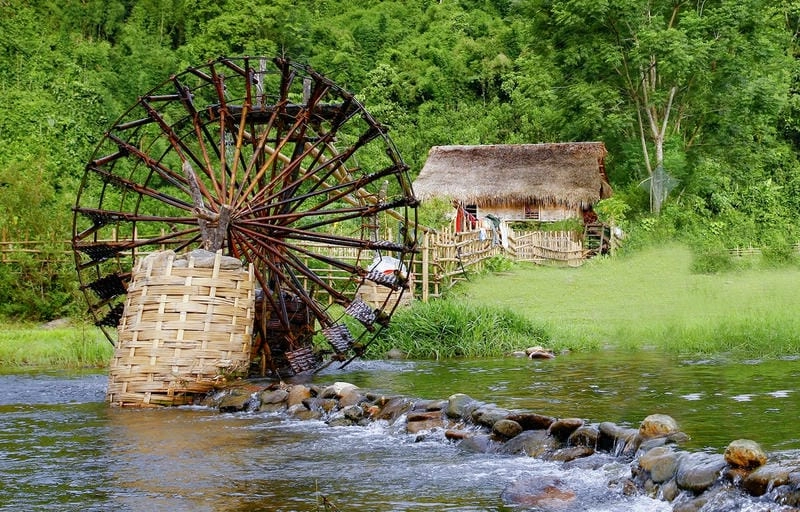 Bình yên Nghệ An giữa rừng Pù Mát, không gian tĩnh lặng