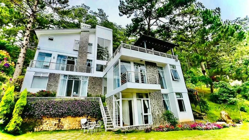 Ngắm hồ bơi nhà biệt thự Đà Lạt lung linh giữa thiên nhiên