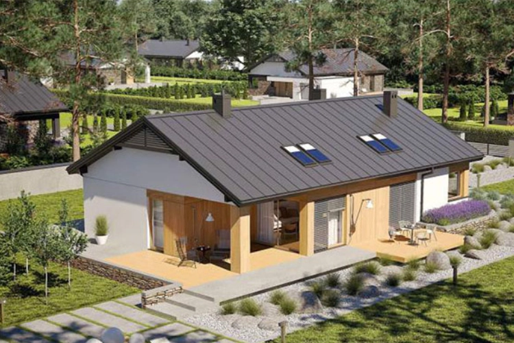 Thơm mát lối đi nhà cấp bốn nông thôn rợp bóng cây xanh