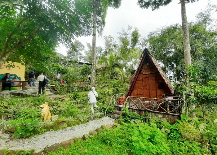 Nhà chòi An Giang hòa quyện vẻ đẹp An Giang thơ mộng