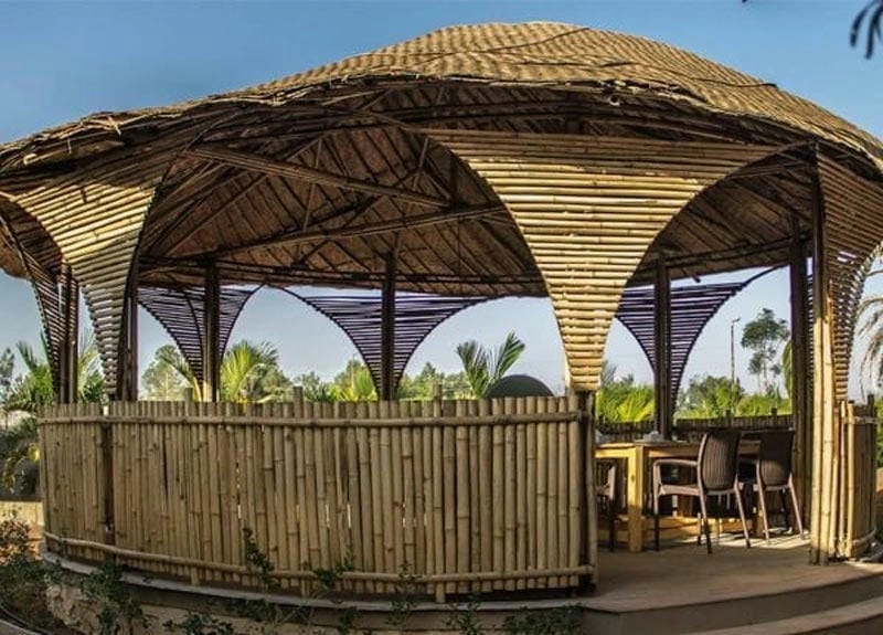 Nhà chòi Bạc Liêu về đêm như một bức tranh sáng