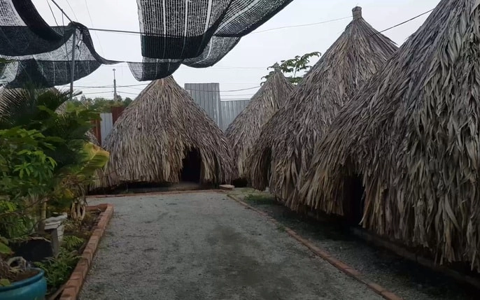 Ánh đèn vàng soi sáng Nhà chòi về đêm tạo không gian lãng mạn khó quên