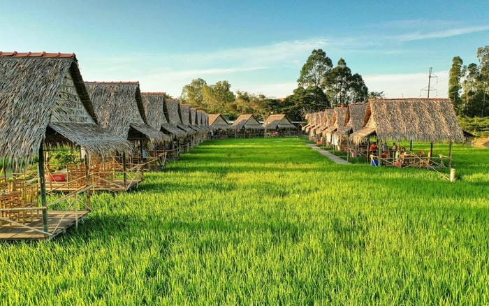 Nhà chòi Đồng Tháp soi bóng yên bình bên kênh rạch Đồng Tháp