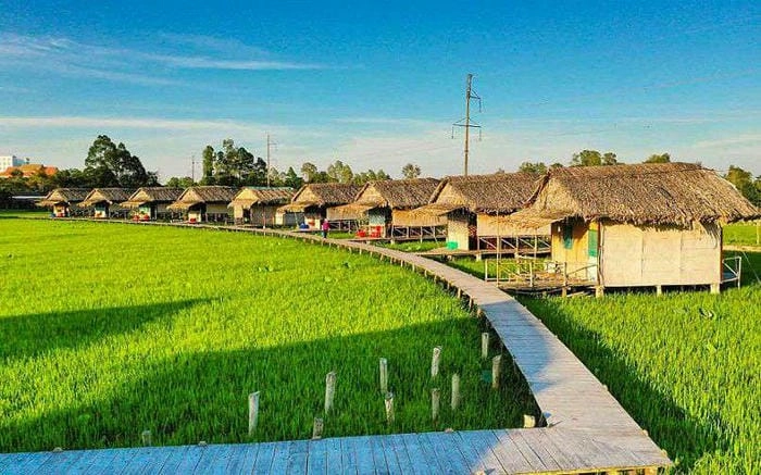 Thức dậy ngắm nhà chòi Đồng Tháp trong bình minh nhà chòi thơ mộngThức dậy ngắm nhà chòi Đồng Tháp trong bình minh nhà chòi thơ mộng